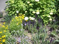 image059