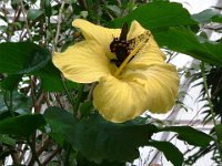 image062