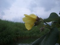 IMGP8144