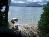 IMGP8274  Beach access path. Hawaii has open public shoreline access in most areas so you can get to even the most exclusive beaches via a little path from the road.