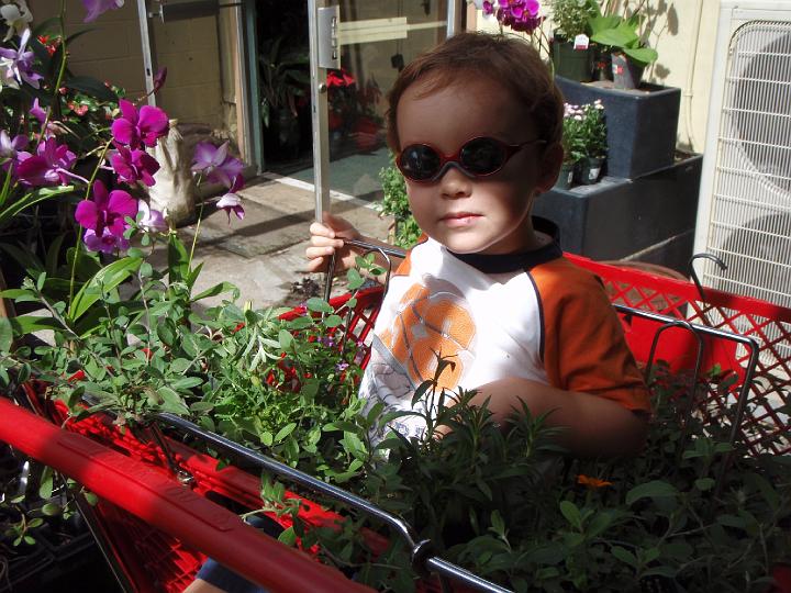 PB190001.JPG - Buying plants for the planters to replace the ones that didn't survive my six-week absence.