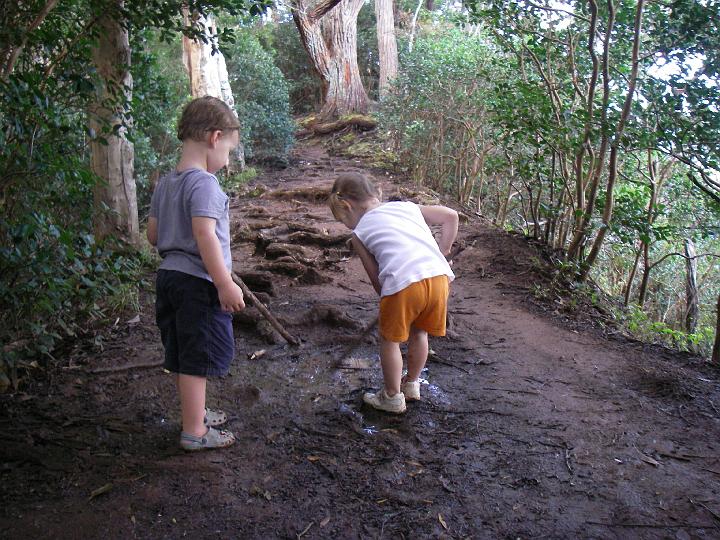IMGP5497.JPG - "Cleaning" the hiking sticks.