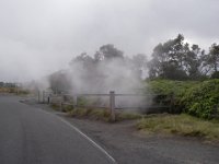 IMGP0716  We're on our way to the airport. These steam vents are so interesting, and very warm!