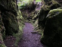 IMGP0723