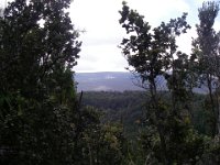 IMGP0735
