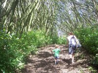 100 5825  He found a couple sticks to use on the trail, like trekking poles.