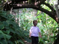 IMGP2500  Sorry it's blurry, but you have a view of the trail. You'll want to hold hands in some areas to avoid stumbling over roots or rocks but overall it's doable for a toddler.