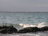 IMG 0006