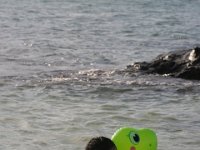 IMG 0011