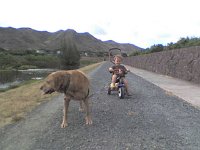 ATT00071  A new sport here in Hawaii. The dog-trike pull. This is on the path by the marsh down the block from our home. We were out with my friend Dana and her doggie, looking for baby ducks to feed. Caffrey went to take a drink from the marsh (probably not a good idea anyway) and fell in. She almost hauled Dana in as she tried to climb out! (No - Sam was not attached on the trike at the time!)