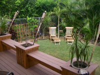 IMGP3084  The teak lounge chairs are new - we love them! We have to sand them and reapply some teak oil to keep the golden color. Although expensive (even used - I found them on craigslist), teak weathers very well here so it was worth the splurge.