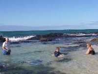 IMGP3626  Another visit to the tide pools - this is our "aloha Friday" tradition.