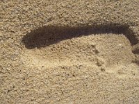 IMGP4133  My footprint with Sammy's inside :)