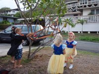 2007-10-31HawaiianHallowe'en (24)
