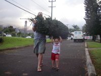 IMGP5807  Getting our Christmas tree!