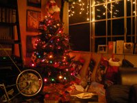 IMGP5880  The living room on Christmas Eve :)