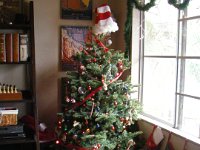 imgp5866  Our tree and stockings by the window. That's how Santa gets in here...where there are no chimneys :)