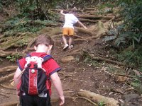 imgp6564  The kids did a great job hiking! The trail is just over 2 miles from the street parking to the falls and back.