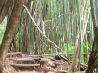 imgp6570  Lots of bamboo!