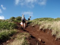 P2070009  Mariner's Ridge hike in Hawaii Kai with our intrepid hiking buddies Anneliese, Calleigh and their mommy Kathy :) Pretty warm and sunny at the start but we found shade fairly soon.