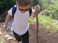 imgp6460  Sammy picking out the trail with his trusty stick :)