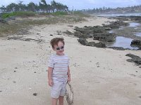 2008-02-01MarineBaseKaneoheBigStickDragHalfMile (2)  A big stick for a little guy to drag 0.5 mi back to the truck! He insisted on taking it home to "show Daddy" much to mommy's chagrin - what am I going to do with a 7' stick in a tiny yard? But it is a boy thing, I guess, dragging huge prey back to the den...