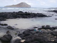 IMGP6431  New tide pools we found near Makapu'u. Delightful! Busy even on a coold day so no doubt they are very busy during the summer.