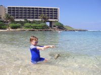 IMGP6751  We're at Turtle Bay Resort.