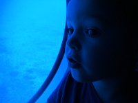 IMGP7066  Sam was entranced the whole time - it was about 45 min submerged. Very cool to see all the fish, 4 turtles, and even a trumpet fish.