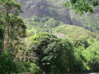 Maunawili Demonstration Trail