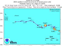 pukulani route  This is the path one of the turtles is taking to her nesting grounds at the French Frigate Shoals.