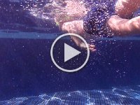 P5300063  Here's video of Sam swimming!