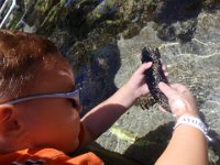 P9060010  And a sea cucumber...