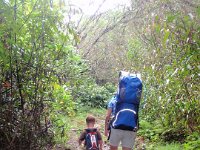 P9300028  Doesn't seem so long ago that Sam was in the pack. Now look at him, with his own pack! Those are all his peakbagger buttons that I made for him down the middle of his pack. We still need a couple more for this hike and Likeke Falls!