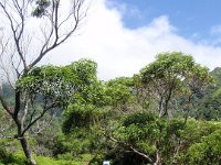 P9300133
