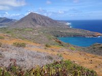 PA120019  We hiked up Koko Head (a puff created when Koko Crater - in the distance here) went off. In the middle of the photo is Hanauma Bay, a popular snorkeling spot. We like Shark's Cove way better, but this is fun.