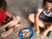 Bird on Beach 2008 (11)
