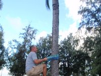 PB230058  This is the coconut tree climbing event!