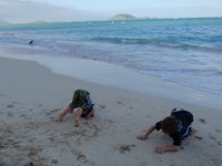 PB270065  Downward dog on the beach!