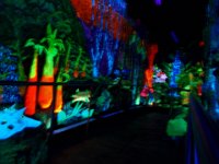 PB180037  The blacklight tunnel. I wish I could do their room like this!