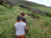 PC160019  Off we went through tall grass to the tide pools below Pele's Chair. Tried not to think about our dear friends the centipedes as we bushwhacked through grass and mud.