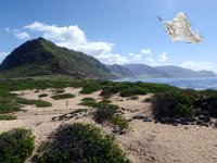 Kaena Pt