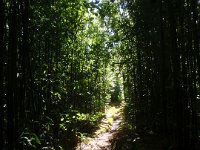 P1310034