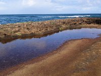 P2140017  Tidepools at Papailoa Beach.