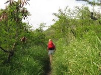 2009-03-31HikeBikeTrail (2)