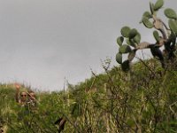 2009-03-31HikeBikeTrail (24)