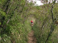 2009-03-31HikeBikeTrail (3)