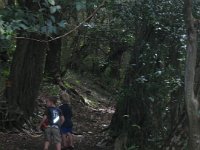 Pu 'u 'Ualaka 'a State Park 009  Sam and his friend Aiden checking out the trail.