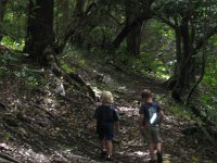 Pu 'u 'Ualaka 'a State Park 011