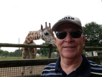 P9090048  Dad was totally nonplussed about the giraffe licking his ear!